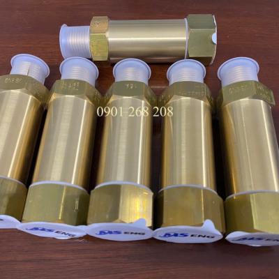 VAN AN TOÀN ĐƯỜNG ỐNG 15A MS Eng